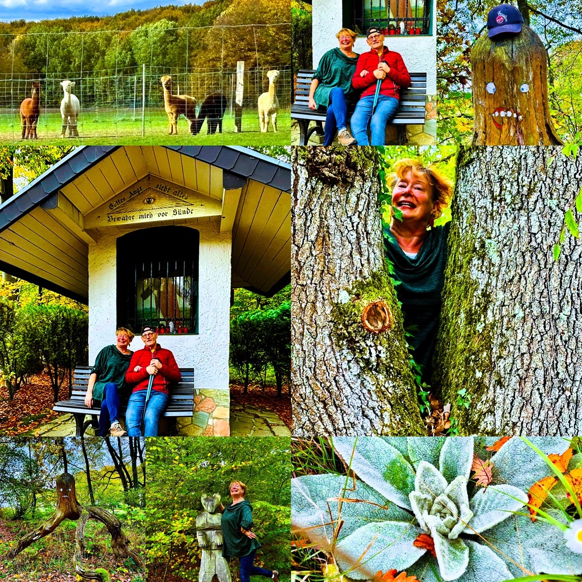 Auge Gottes Rheinbreitbach